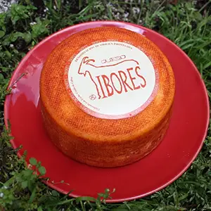 queso-ibores